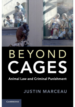 Beyond Cages