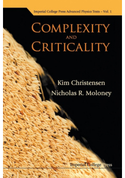 Complexity And Criticality