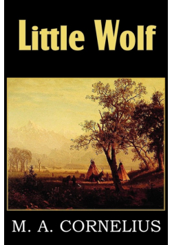 Little Wolf, a Tale of the Western Frontier