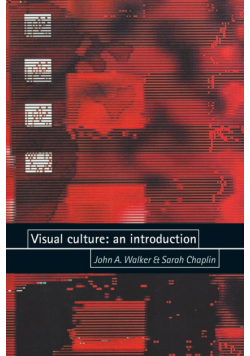 Visual culture