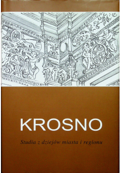 Krosno studia z dziejów miasta i regionu Tom VI