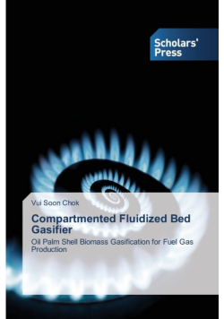 Compartmented Fluidized Bed Gasifier
