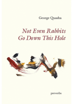 Not Even Rabbits Go Down This Hole