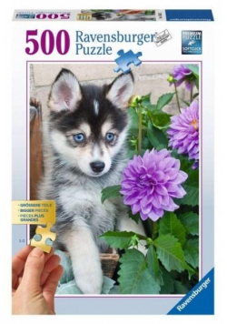 Puzzle 500 Śliczny Husky