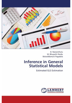 Inference in General Statistical Models