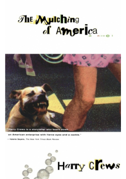 The Mulching of America