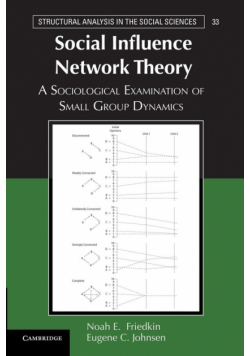 Social Influence Network Theory