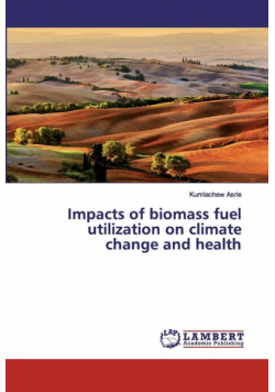 Impacts of biomass fuel utilization on climate change and health