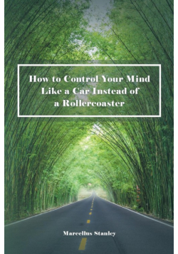 How to Control Your Mind Like a Car Instead of a Rollercoaster