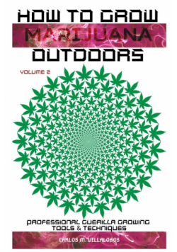 How To Grow Marijuana Outdoors