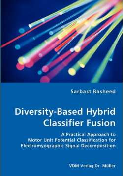 Diversity-Based Hybrid Classifier Fusion