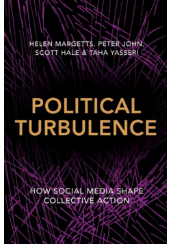 Political Turbulence