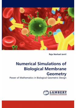 Numerical Simulations of Biological Membrane Geometry