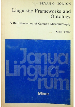 linguistic frameworks and ontology
