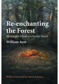Re-enchanting the Forest