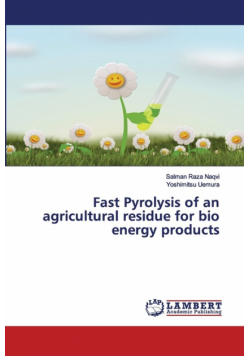 Fast Pyrolysis of an agricultural residue for bio energy products