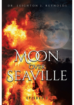 Moon Over Seaville