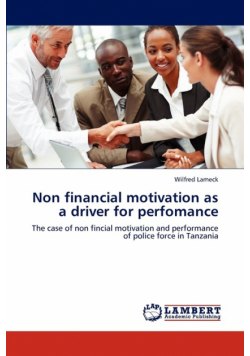 Non Financial Motivation as a Driver for Perfomance