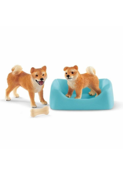 Shiba Inu matka i szczenięta