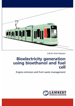 Bioelectricity generation using bioethanol and fuel cell