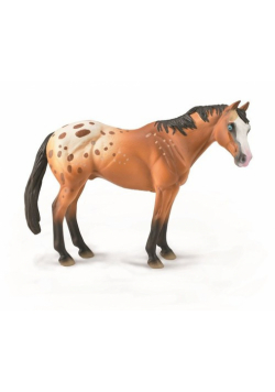 Appaloose Staillion Light Brown