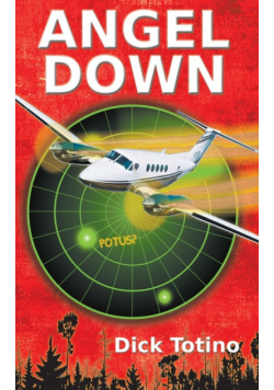 Angel Down