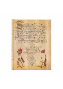 Notes Flemish Rose Ultra linia