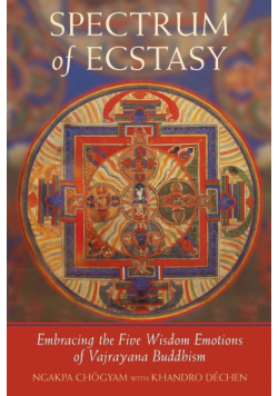 Spectrum of Ecstasy