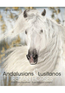 Andalusians & Lusitanos