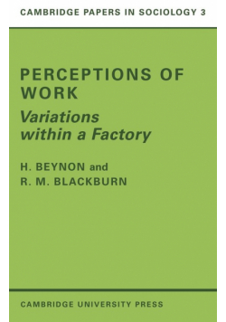 Perceptions of Work