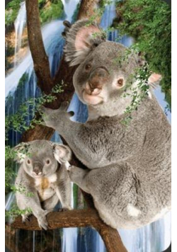 Mini kartka 3D Koala