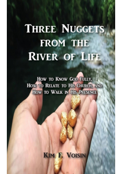 Three Nuggets from the River of Life