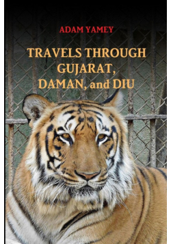 Travels Through Gujarat, Daman, And Diu