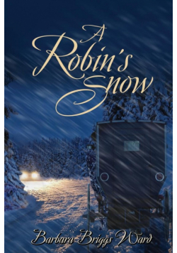 A Robin's Snow