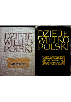 Dzieje wielkopolski 2 tomy