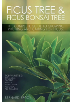 Ficus Tree and Ficus Bonsai Tree. The Complete Guide to Growing, Pruning and Caring for Ficus. Top Varieties