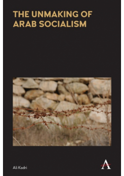 Anthem Frontiers of Global Political Economy and Development