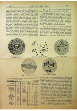 Gazeta Rolnicza tom XLVI  numery 1 do 52 1906 r