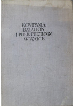 Kompania batalion I Pułk Piechoty w walce