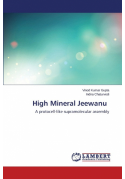 High Mineral Jeewanu