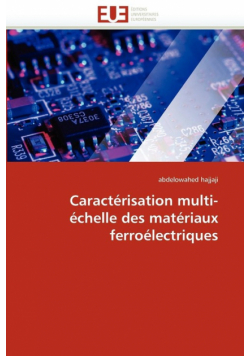 Caractérisation multi-échelle des matériaux ferroélectriques