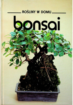 Rośliny w domu bonsai