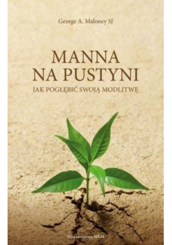 Manna na pustyni Jak pogłębić swoją modlitwę
