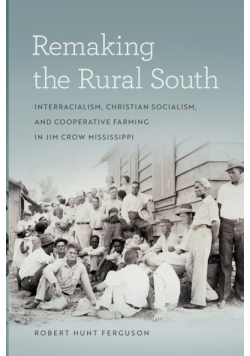 Remaking the Rural South