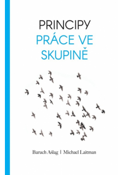 Principy Práce Ve Skupině