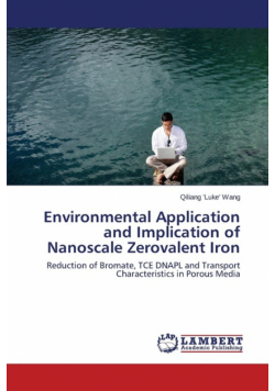 Environmental Application and Implication of Nanoscale Zerovalent Iron