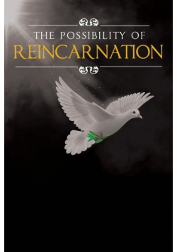 The Possibility Of Reincarnation