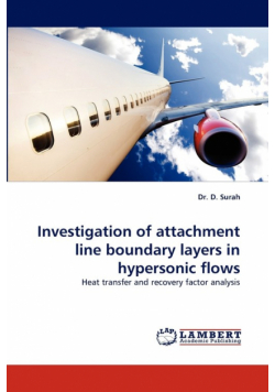 Investigation of Attachment Line Boundary Layers in Hypersonic Flows