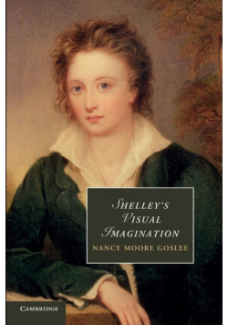 Shelley's Visual Imagination
