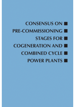 Consensus on Pre-Commissioning Stages for Cogeneration and Combined Cycle Power Plants